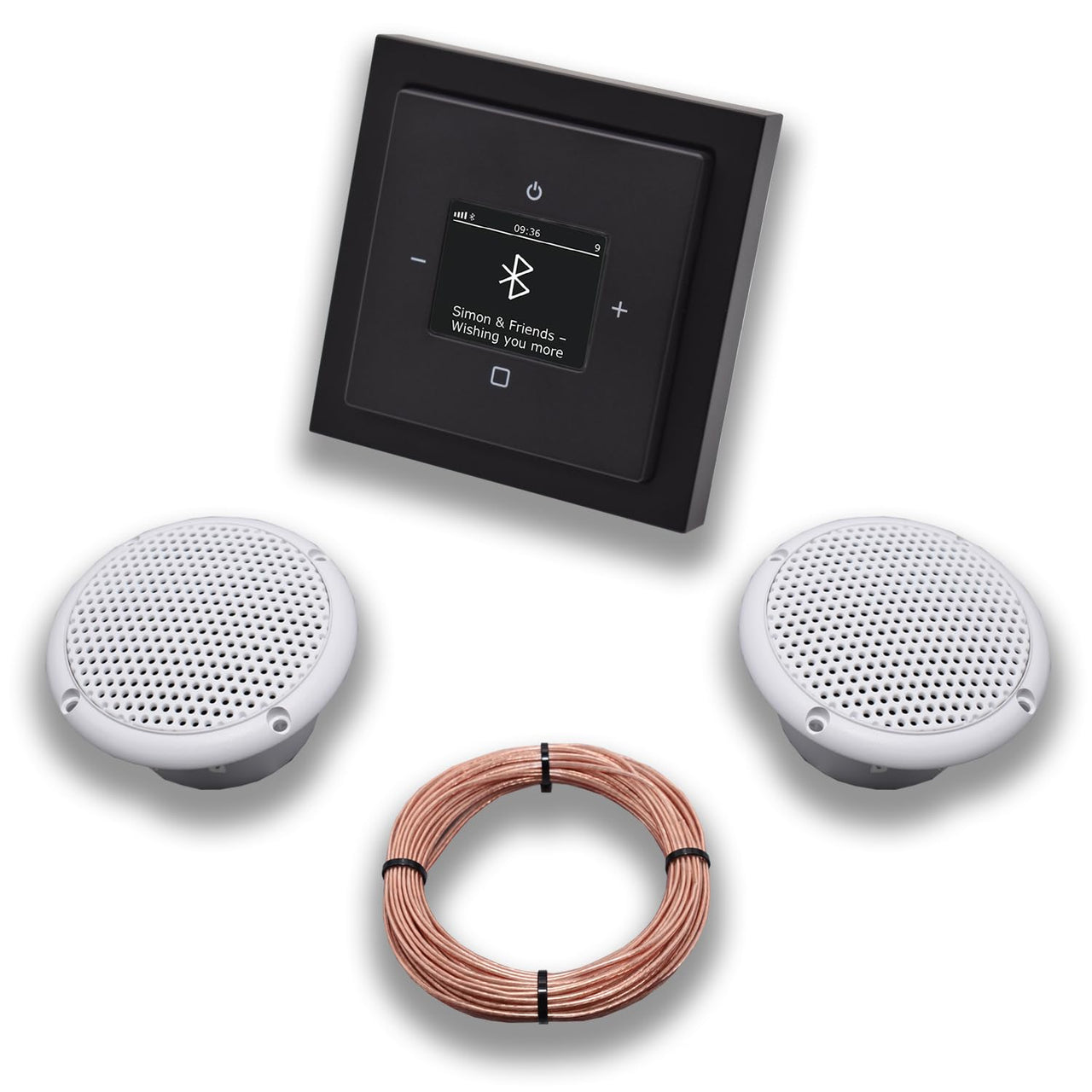 Busch Jäger DAB+ Unterputz Bluetooth (in and out) Radio 8217U-101 Future Linear Anthrazit, Komplett-Set mit 2 x Decken Feuchtraumlautsprecher/Badezimmer + 20 m Lautsprecherkabel 2x0,75 mm2 8217U