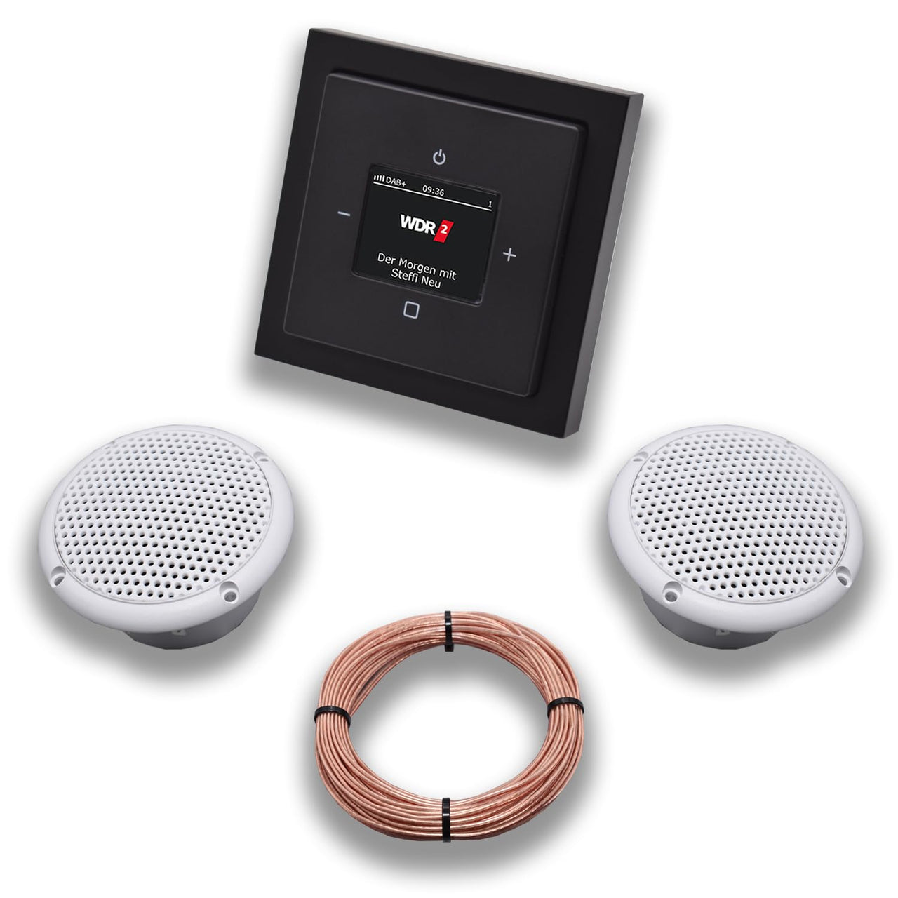 Busch Jäger DAB+ (DAB PLUS) Unterputz Radio 8215U-101 Future Linear Anthrazit, Komplett-Set mit 2 x Decken Feuchtraumlautsprecher/Badezimmer + 20 m Lautsprecherkabel 2x0,75 mm2 8215U