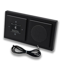 Busch Jäger DAB+ Unterputz Bluetooth Radio 8217U-101 SCHWARZ MATT Komplett-Set + Lautsprecher + 0,9 m EBROM Wurfantenne zur Empfangsoptimierung - 8217 U -101 BT Radio