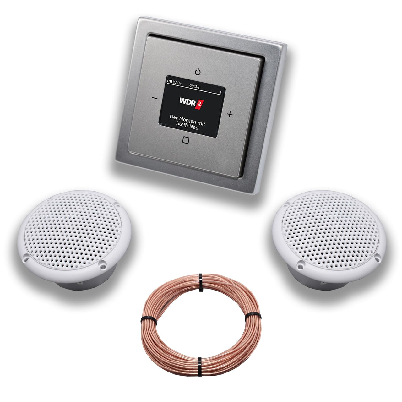 Busch Jäger DAB+ (DAB PLUS) Unterputz Radio 8215U-101 PUR Edelstahl, Komplett-Set mit 2 x Decken Feuchtraumlautsprecher/Badezimmer + 20 m Lautsprecherkabel 2x0,75 mm2 8215 U - 101