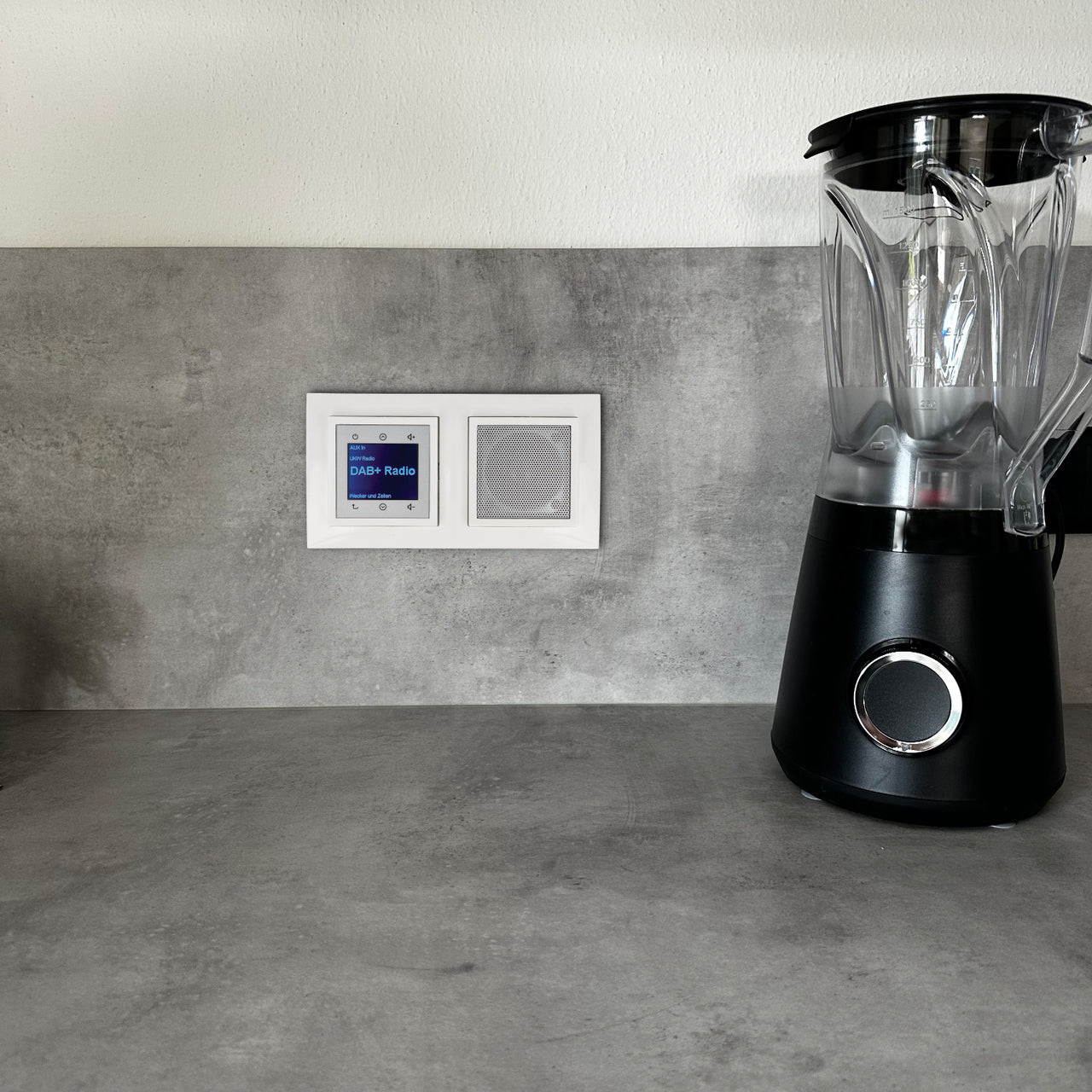 BERKER Unterputz DAB+ Radio 29848989 und Lautsprecher polarweiß glänzend mit 2fach Rahmen Berker 10128989 inkl. EBROM Phasenprüfer zur Montage der Geräte